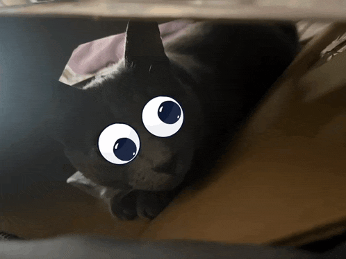 a black cat with googly eyes is laying on a bed
