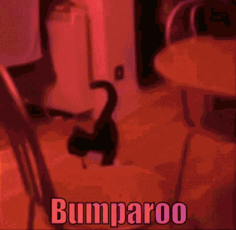 a black cat is standing in a room with the word bumparoo written on the bottom