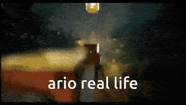 a pixelated image with the words ario real life written on it
