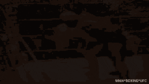 two men are fighting in a boxing ring .