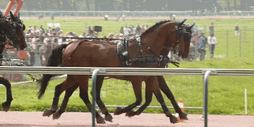 two horses are pulling a wagon with the word ' saddle ' on the front