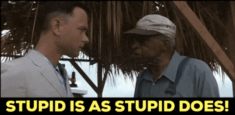 a poster with two men and the words stupid is as stupid does on it