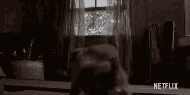 a cat is looking out of a window on a house .