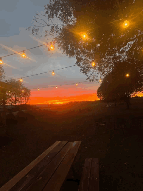 a picnic table in front of a sunset with string lights