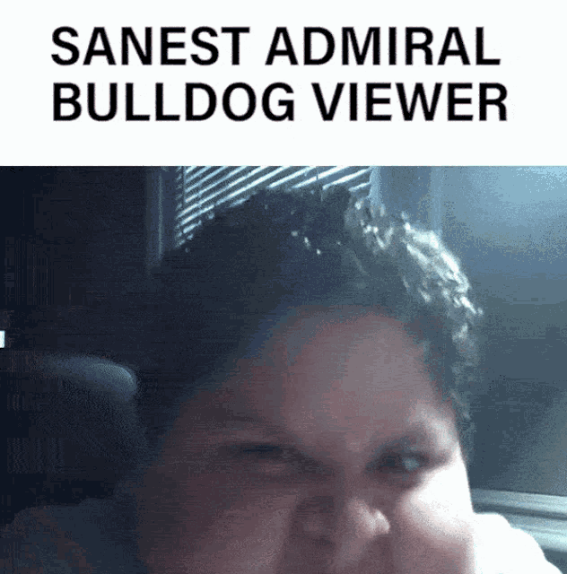Admiralbulldog Twitch GIF - Admiralbulldog Twitch Meme GIFs