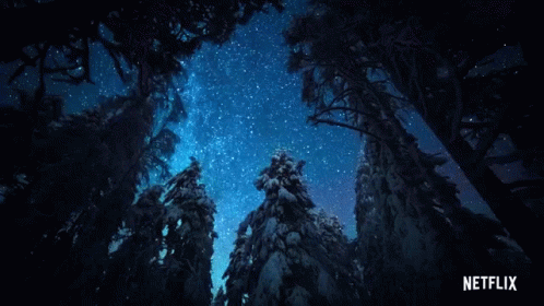 Forest Tree GIF - Forest Tree Star GIFs