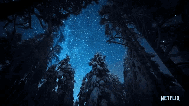 looking up at a starry night sky with a netflix logo in the corner
