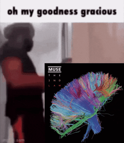 a poster for muse the 2nd law with a colorful brain on it