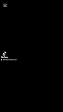 a screenshot of a tiktok video with a red stripe