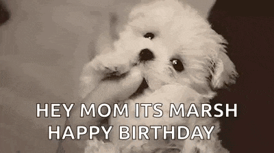 a small white puppy is being held by a person and says `` hey mom it 's marsh happy birthday '' .