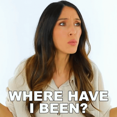 Where Have I Been Shea Whitney GIF - Where Have I Been Shea Whitney Where Did I Go GIFs