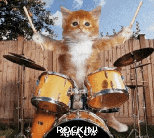 a cat is playing drums with the word rockin on the bottom