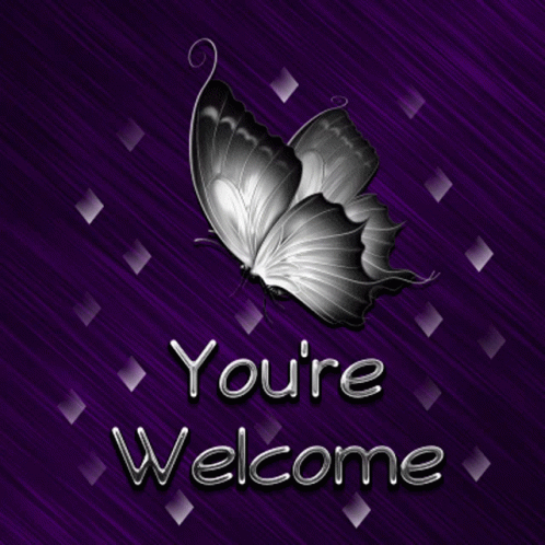 Youre Welcome Butterfly GIF - Youre Welcome Butterfly Purple GIFs