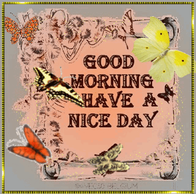 a card that says good morning have a nice day with butterflies
