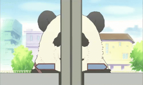 Panda Bitch GIF - Panda Bitch Anime GIFs