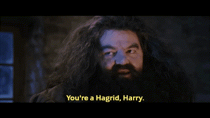 Hagrid Harry Potter GIF - Hagrid Harry Potter GIFs