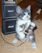 a kitten is playing a guitar in front of a stack of amplifier .