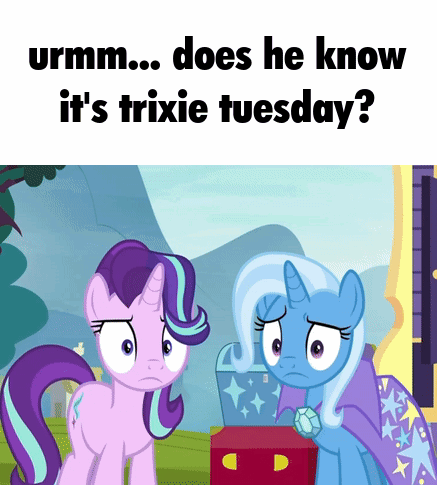 Trixie Trixie Tuesday GIF - Trixie Trixie Tuesday Tuesday GIFs
