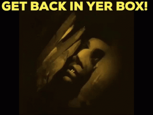 Get Back In Yer Box Get Back In Your Box GIF - Get Back In Yer Box Get Back In Your Box Shh GIFs