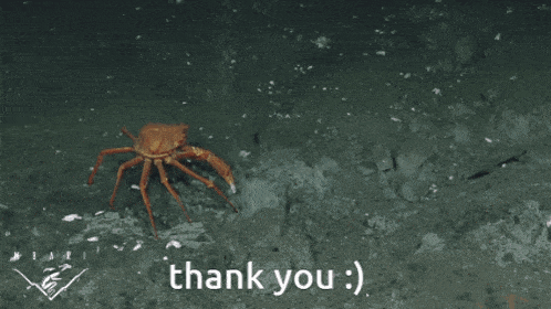 Crab Thank You GIF - Crab Thank You Thank You Gif GIFs