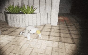 a person crawling on the ground in front of a planter with plants