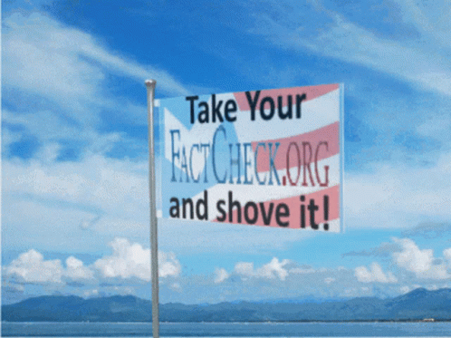 Fact Check Fact Check Flag GIF - Fact Check Fact Check Flag Shove It GIFs