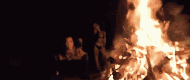 a group of people are gathered around a fire at night .