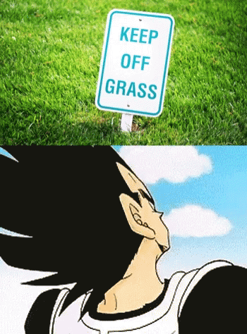Keep Off Grass Vegeta GIF