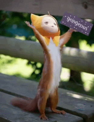 a squirrel holds up a sign that says gorgeous