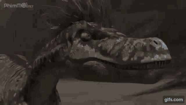 Raptors Tyrannosaurus GIF - Raptors Tyrannosaurus Trex GIFs