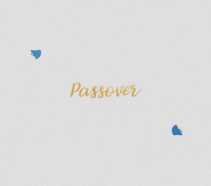 Passover Happy GIF - Passover Happy Pesach GIFs