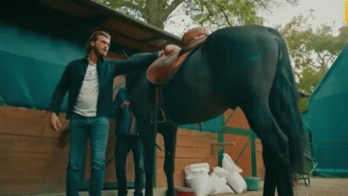 Horse Get Up GIF - Horse Get Up GIFs