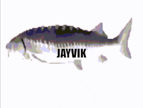 a shark is surrounded by confetti and the word jayvik is on the bottom