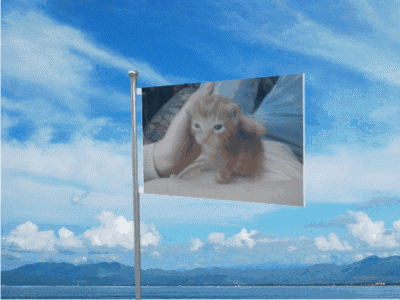 Robert Kitty GIF - Robert Kitty Flag GIFs