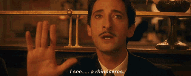 a man says i see a rhinoceros in a dark room