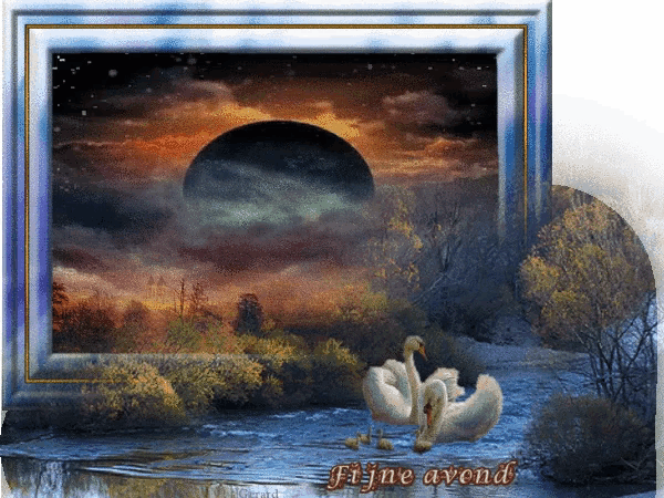 a picture of two swans in a river with the words fijne avond at the bottom