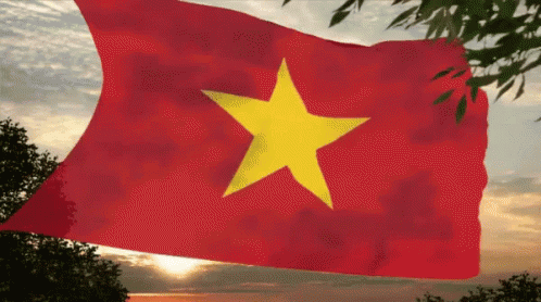 Quốc Kỳ Việt Nam Tung Bay GIF - Quốc Kìviệt Nam Cờviệt Nam Quốc Kì GIFs