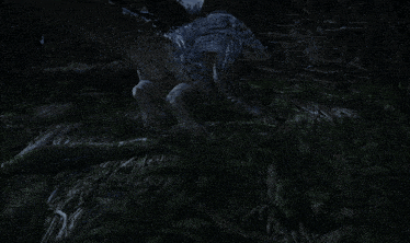 a bird with blue feathers is laying down in the woods