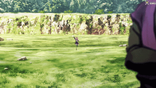 a person standing in a field with the word zoro on the bottom right