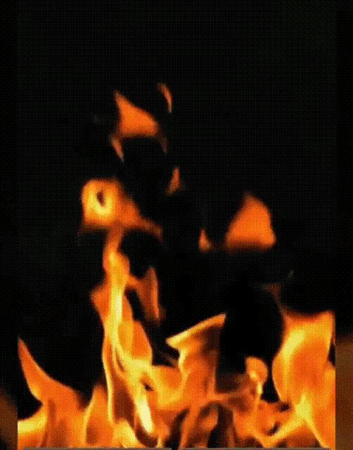 a close up of a fire against a black background