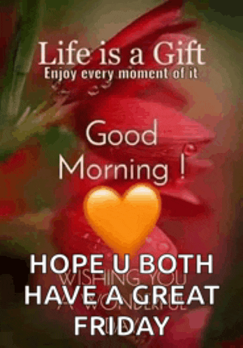 life is a gift enjoy every moment of it . good morning ! hope u both have a great friday .