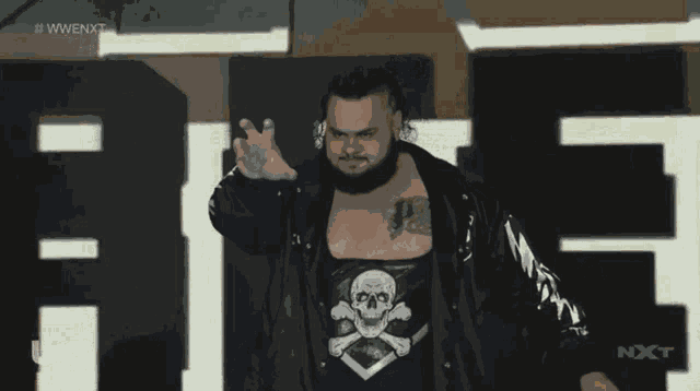 Bronson Reed Entrance GIF