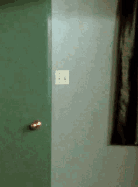 a green door with a white light switch above it