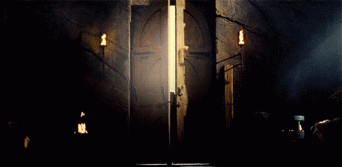 Aragorn Lotr GIF - Aragorn Lotr Opens Door GIFs