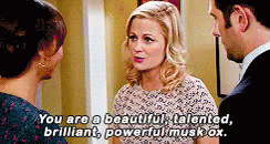 Parks And Rec Beautiful GIF - Parks And Rec Beautiful Talented GIFs
