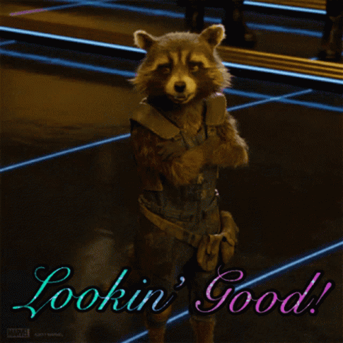 Guardians Of The Galaxy Rocket Raccoon GIF - Guardians Of The Galaxy Rocket Raccoon Looking Good GIFs