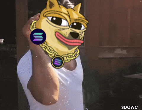 a cartoon doge wearing a gold chain and a purple circle with the letters sdwc on the bottom