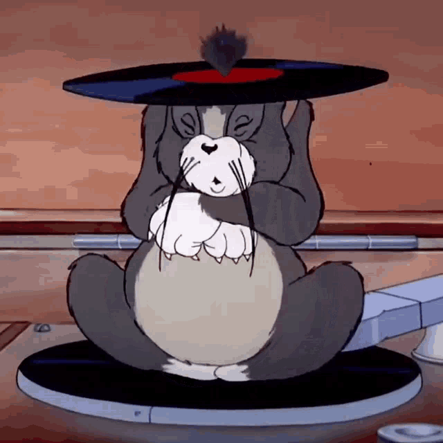 a cartoon cat is sitting on a record player with a record on top of his head