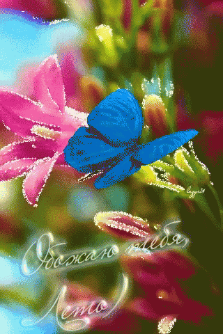 a blue butterfly is sitting on a pink flower with a russian greeting written below it