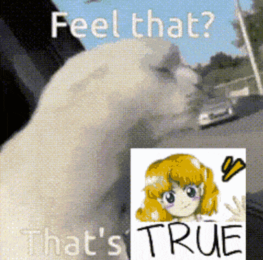 a picture of a girl with the words feel that that 's true written on it